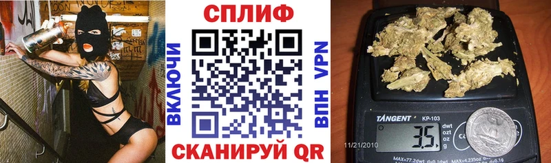 Каннабис SATIVA & INDICA  продажа наркотиков  Ивантеевка 
